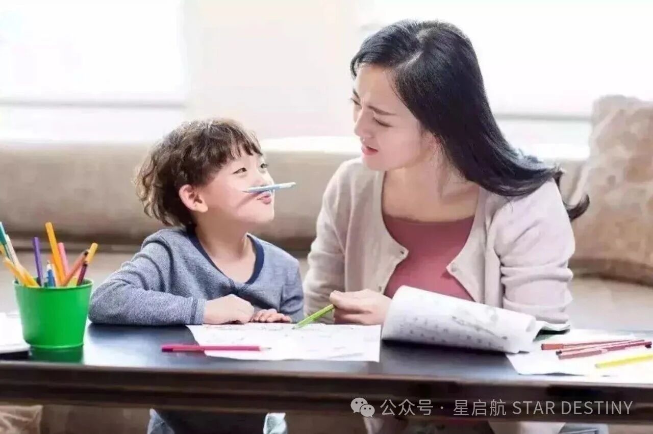 新加坡陪读政策全解析（2026版）
