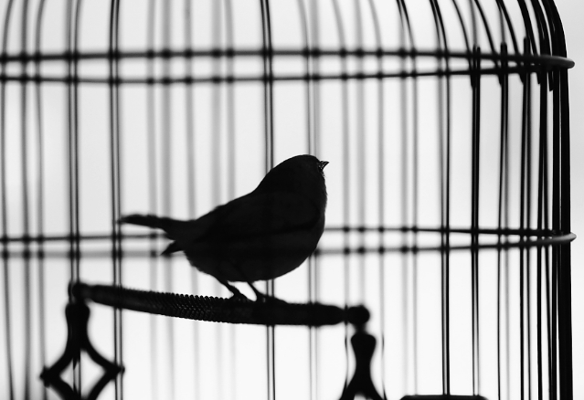 教育不是推着你走，而是陪你一起感受风    Part 01.