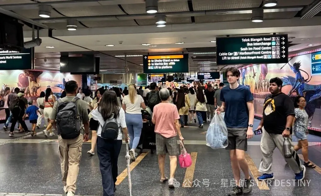 就业人口连续19季度增长！毕业新加坡生起薪超高？